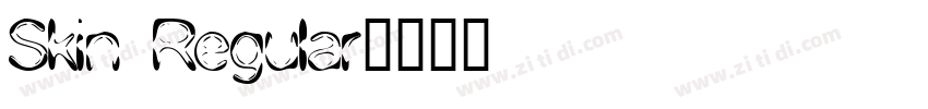 Skin Regular字体转换